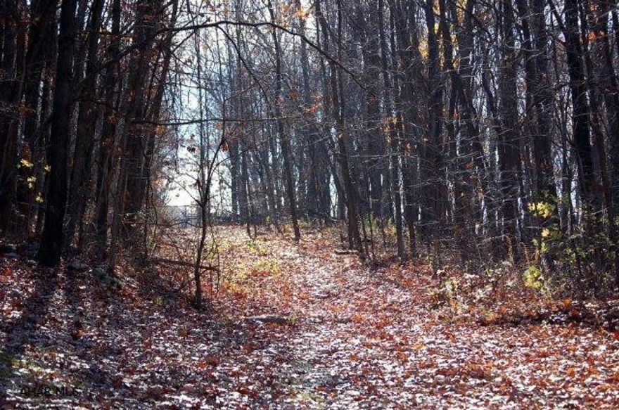 This is roughly 27 acres of wooded land that is between Frankstown Road and residential houses in Lakemont.It is prime land for development.  Part of it borders on Pine near Chapel Hills and the rest can be approached from Jaquar Avenue.  It has a mature tree cover that could be harvested.  Check map that is on Navica or contact Mary Ford for a copy of that map.