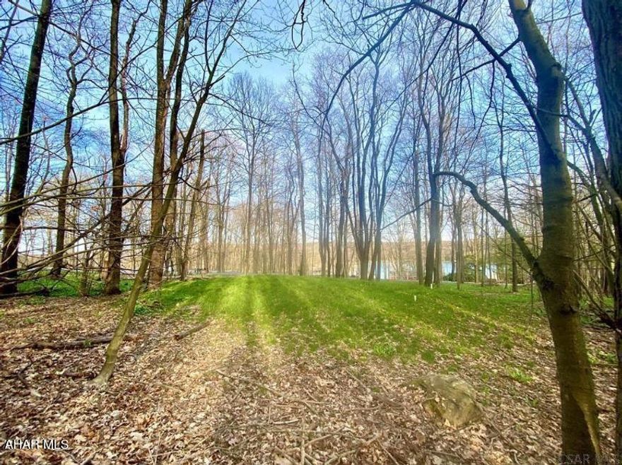 Ideally situated on Peninsula Drive with views of the lake across the street and the golf course in the rear (hole #4). A sand mound septic system, has already been installed. Water and electric are available at the street.