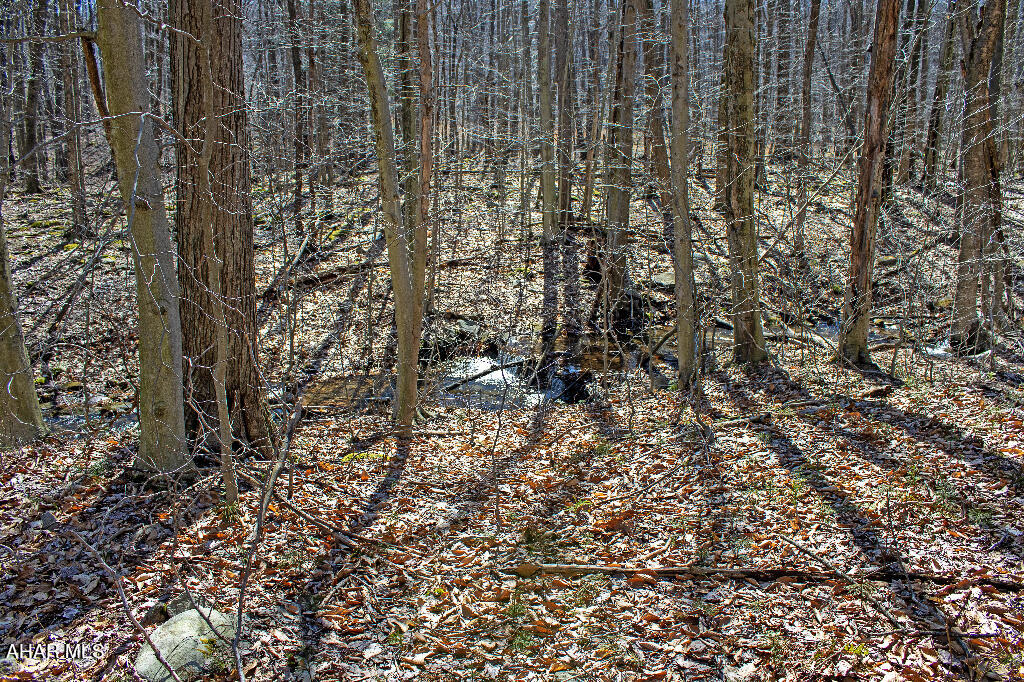 None - Commercial Sale