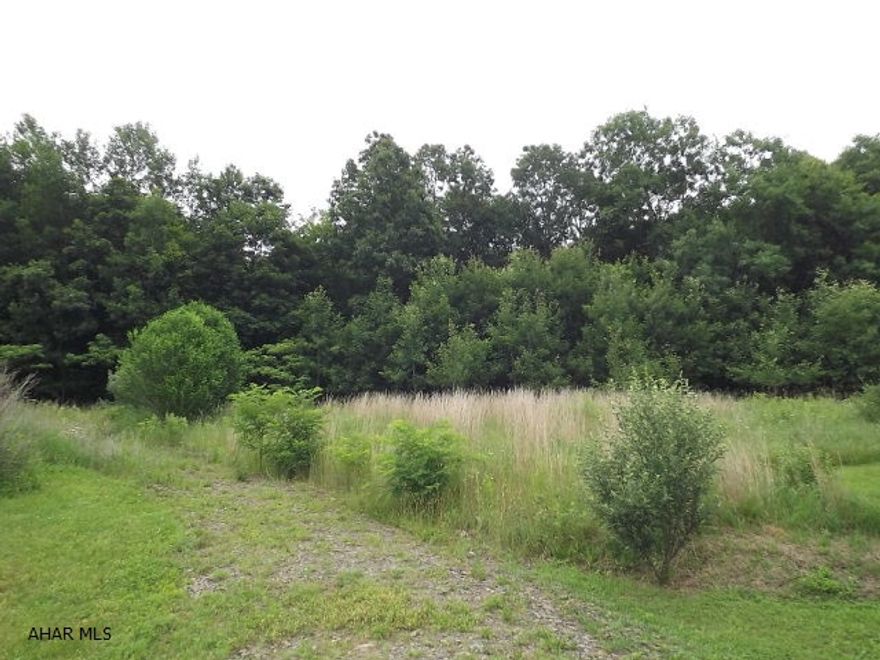 Perc approved in 2005, this 3.125 acres is a beautiful wooded lot. Convenient location with a great setback.