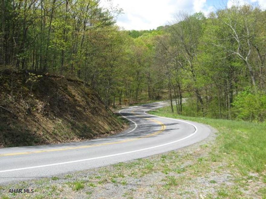 Take advantage of this opportunity to own a large wooded tract of land located in beautiful southern Bedford County.  This ground would make excellent hunting or recreation and is located within minutes of Buchanan State Forest property.