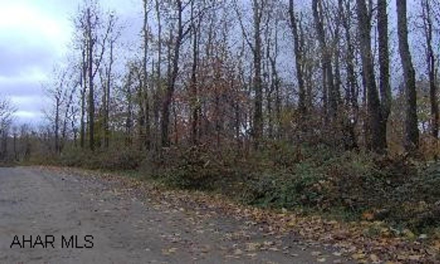 Beautiful homesite with million dollar view. Had past approval for sand mound. Wooded lot - sloping.