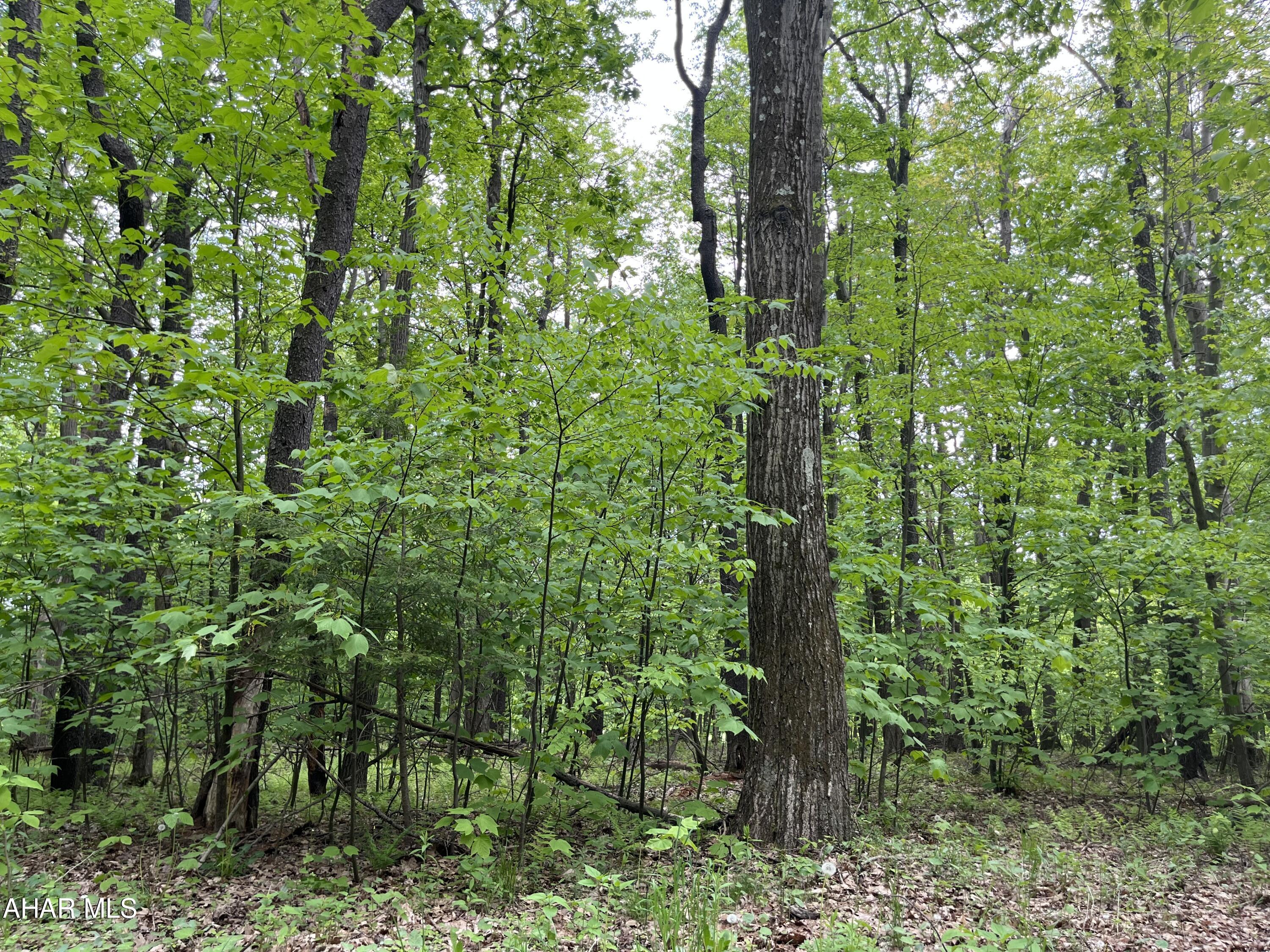 Blue Knob - Commercial Sale