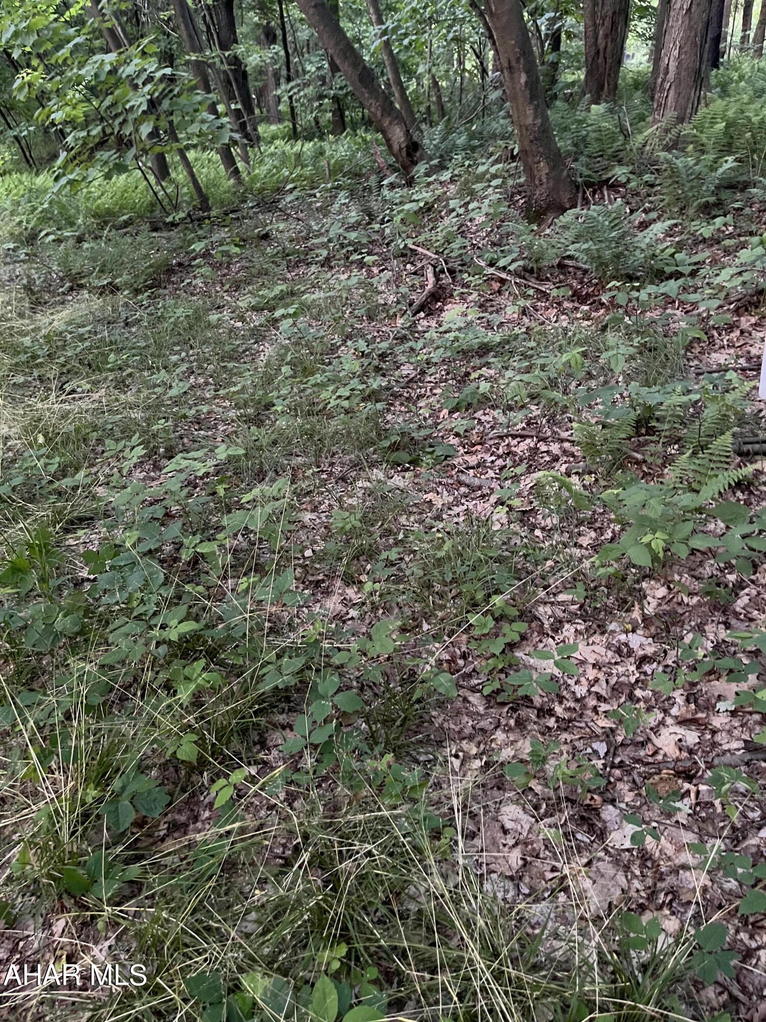 Blue Knob - Commercial Sale