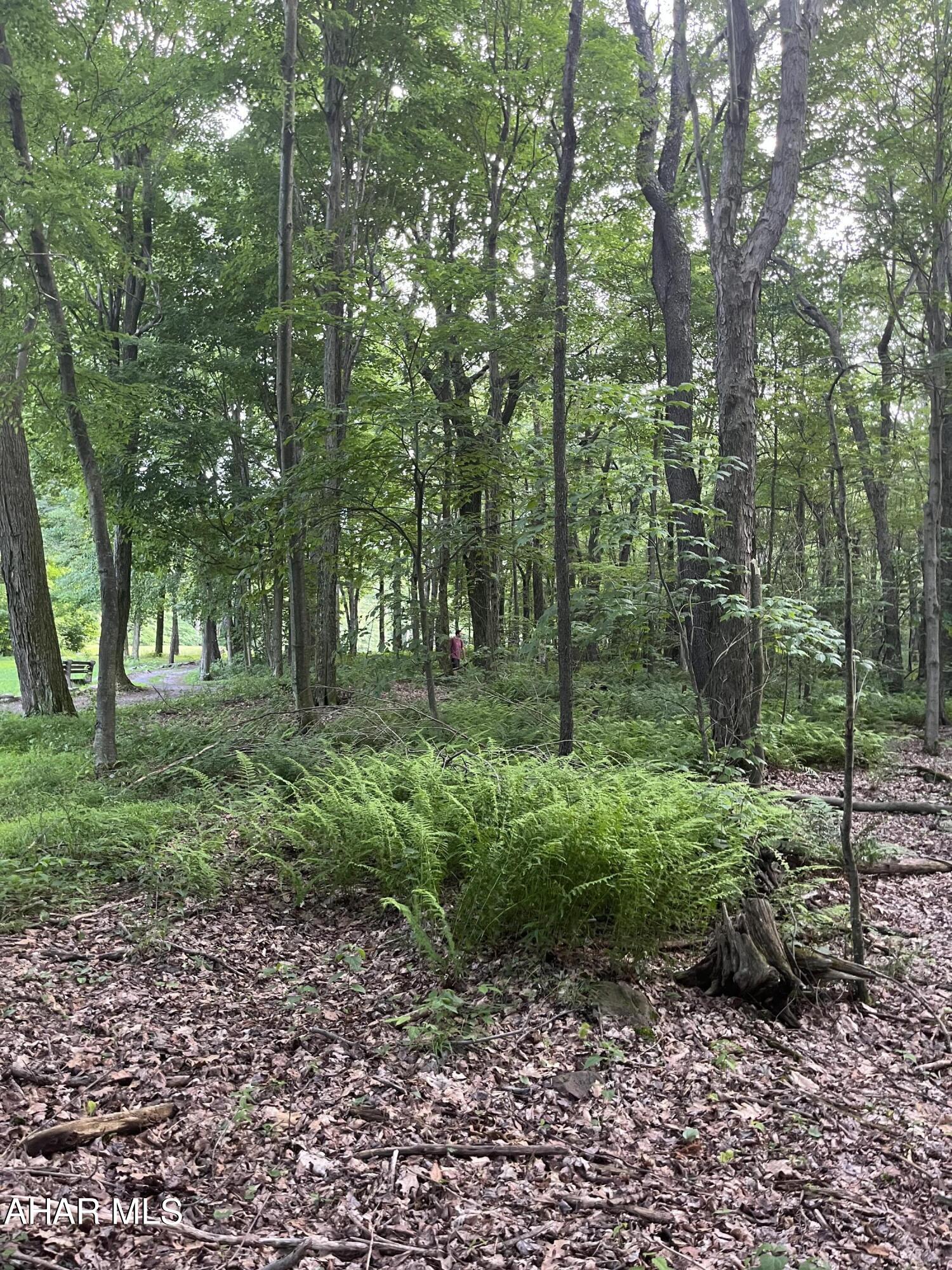 Blue Knob - Commercial Sale