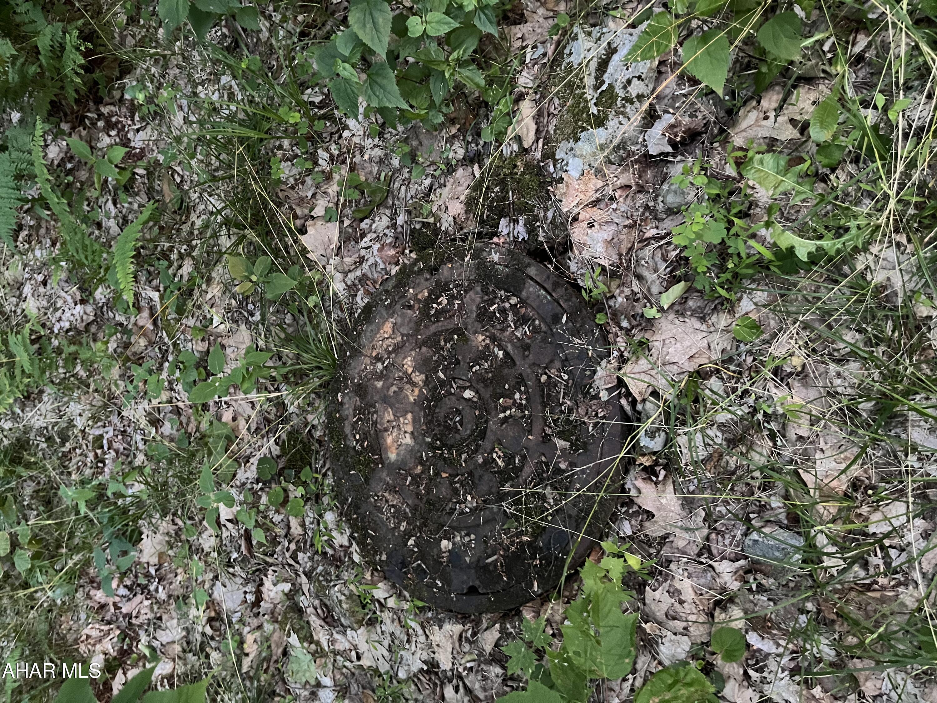 Blue Knob - Commercial Sale