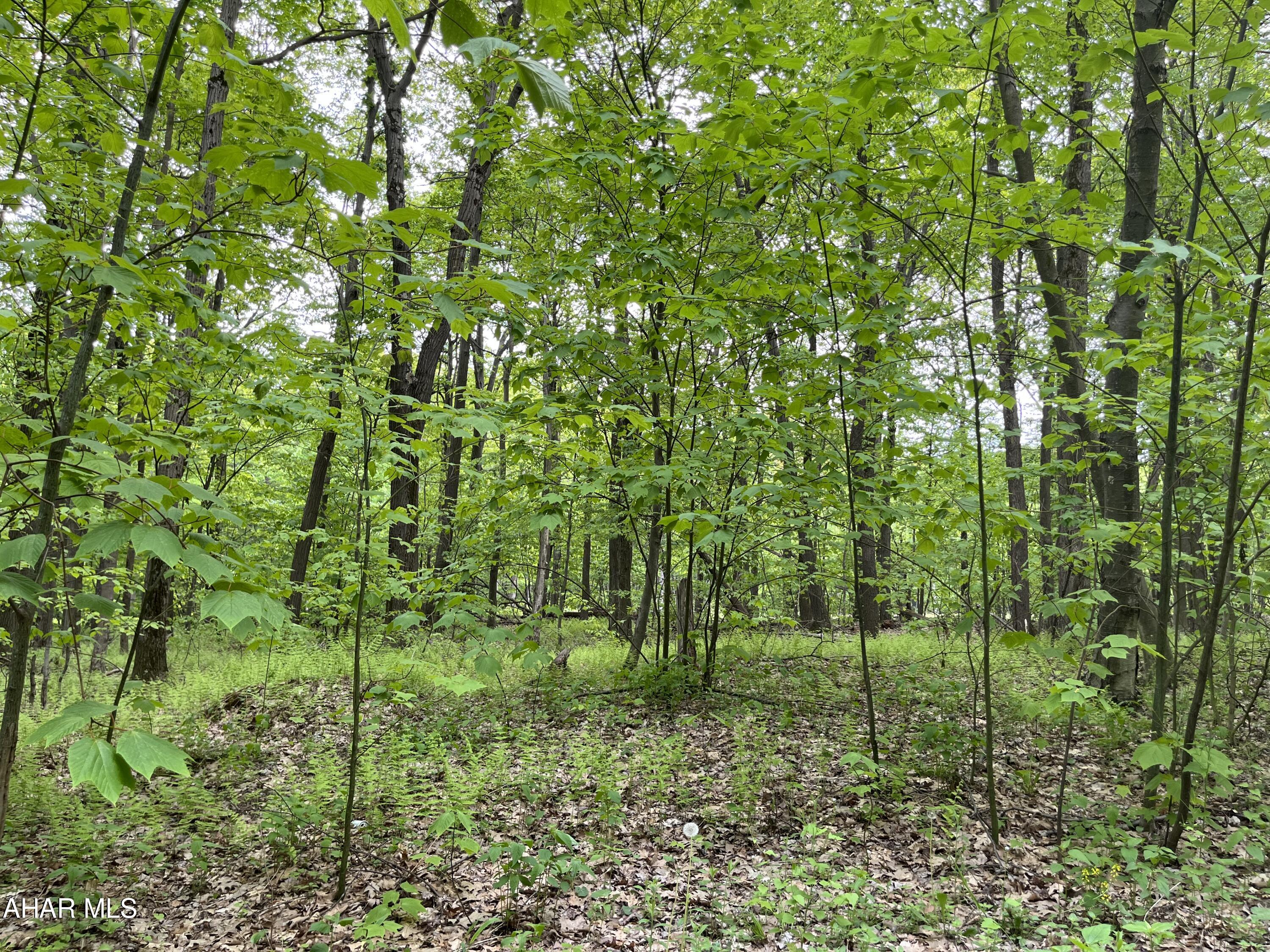 Blue Knob - Commercial Sale