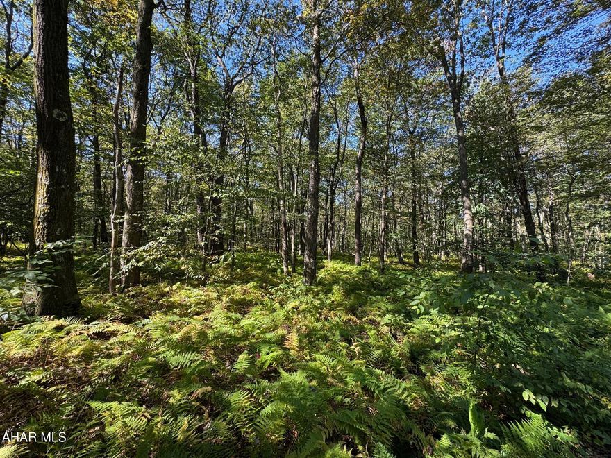 Beautiful, wooded parcel containing 3.48 acres!!! If you're looking for a place to get away from it all, you have found it. This parcel rests atop the Allegheny Mountains in scenic Bedford County PA. This is a terrific site for a get-away cabin, relaxation, wildlife watching, hunting, or just enjoying the pure scenic views around you. Located in Buck Run II subdivision, with part-time and year-round homes. Just a short drive to Blue Knob State Park and Ski Resort, Shawnee State Park, hiking, biking, and ATVing. Electric line and pole on site. HOA fee of $180.00 annually and that includes road maintenance and snow plowing inside the subdivision.