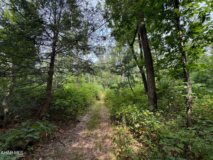 15.56 acre wooded parcel with level to gently rolling topography in New Enterprise, PA. There is currently no deeded access to this property or public road frontage. Owner previously used a private lane for many years that is no longer allowed for access. Can not access land for showings, you would be purchasing this parcel as site physically unseen.