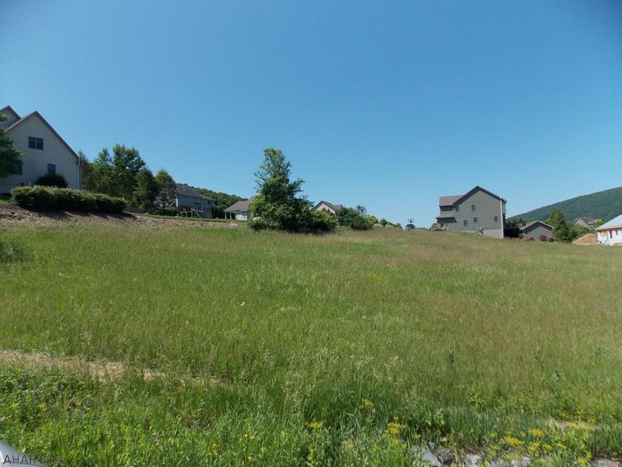 Beautiful lot in a beautiful Development, plan your dream home now!  Buyer needs to drill a well, sewer is public.  Lots 47 and 48 are right beside each other, buy both and you would have over and acre of ground.  Call for Deed Restrictions.  Priced below assessed value.