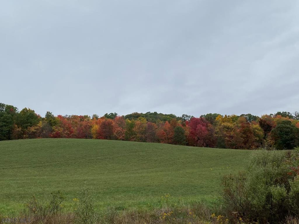 Antis Township - Residential