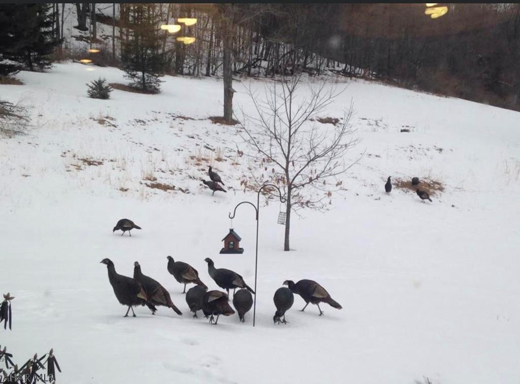 Antis Township - Residential