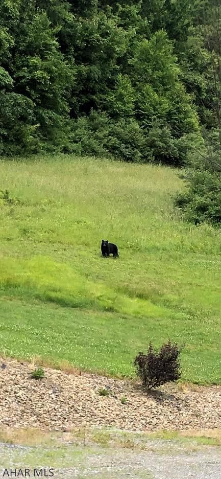 Antis Township - Residential