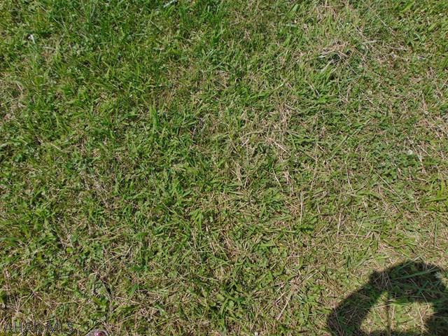 Turkey Valley - Residential