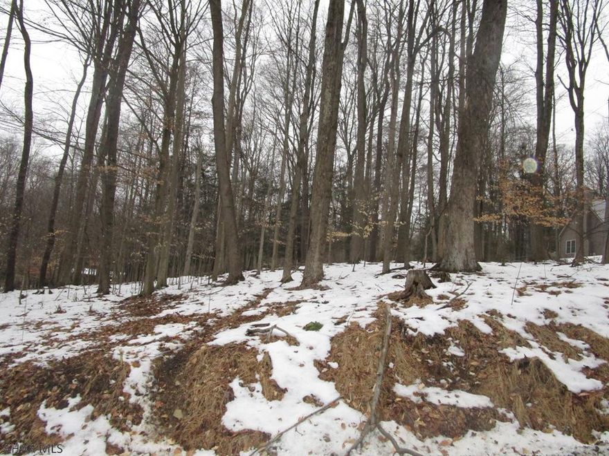 Half acre wooded home site just down the road from the club house, swimming pool and recreation area.  City water and sewer along with electricity are available to this parcel.  No perc test to pass or well to dig.  Great place to build your forever home or getaway.