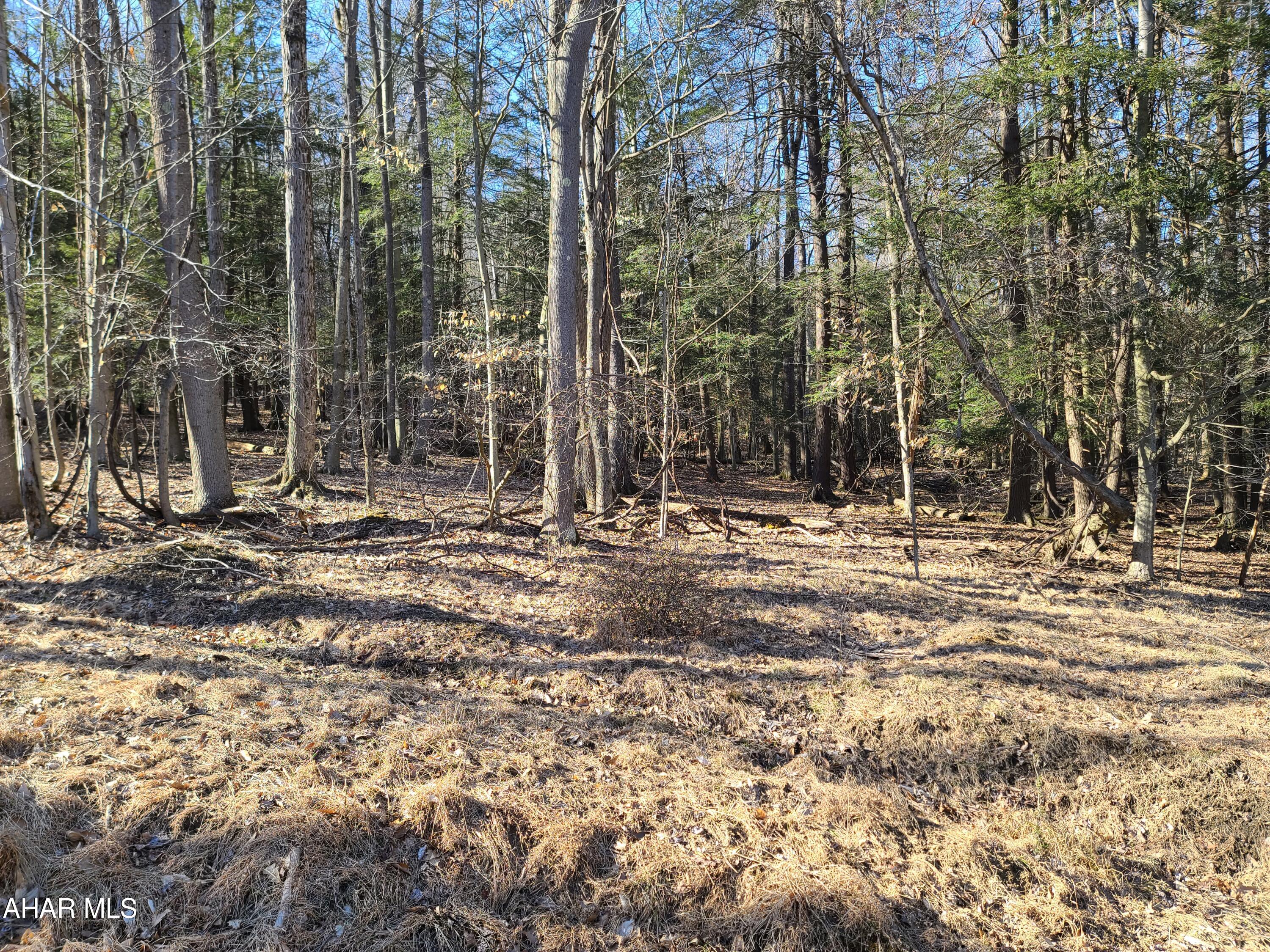 Glendale Yearound - Commercial Sale