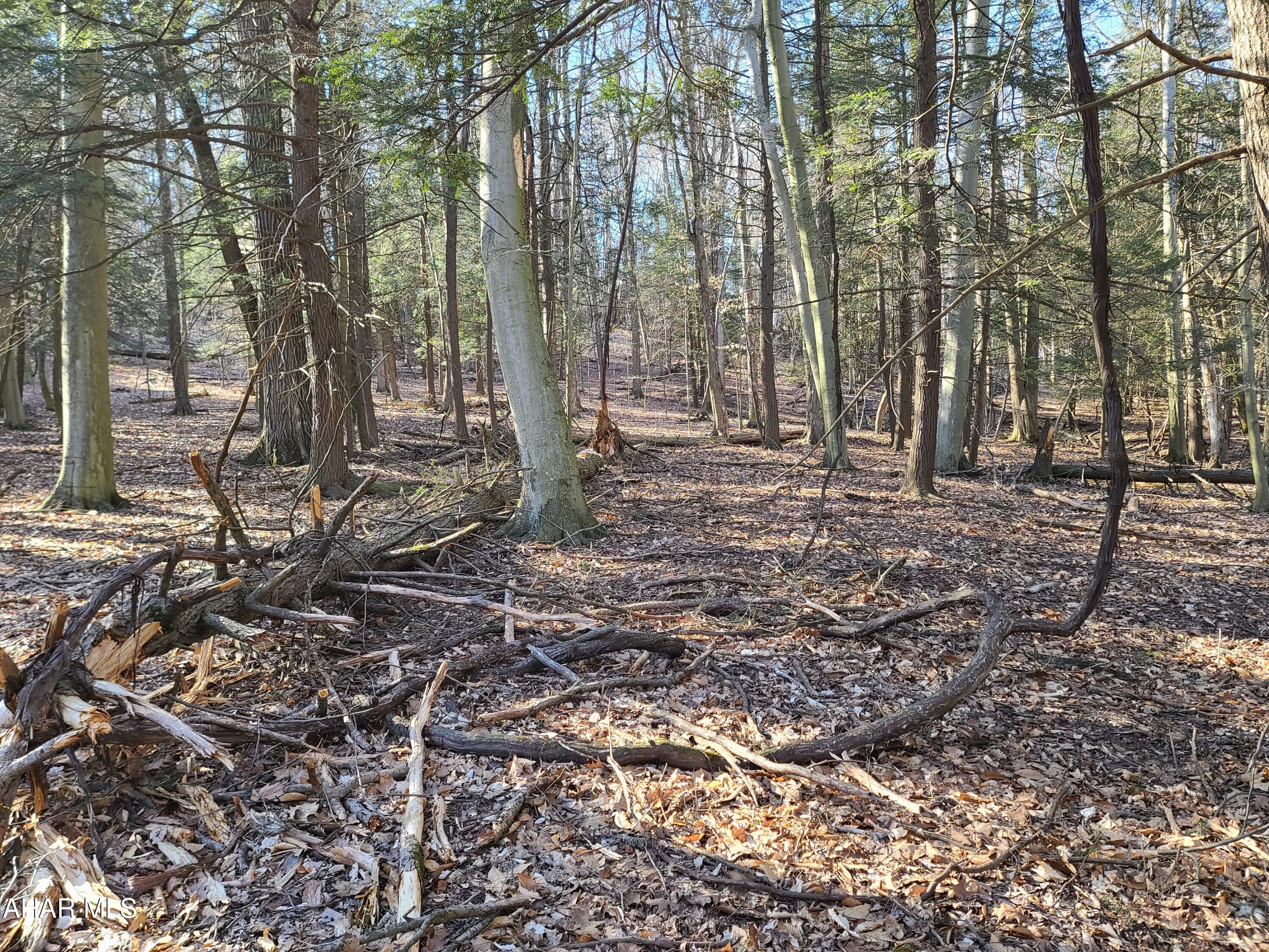 Glendale Yearound - Commercial Sale