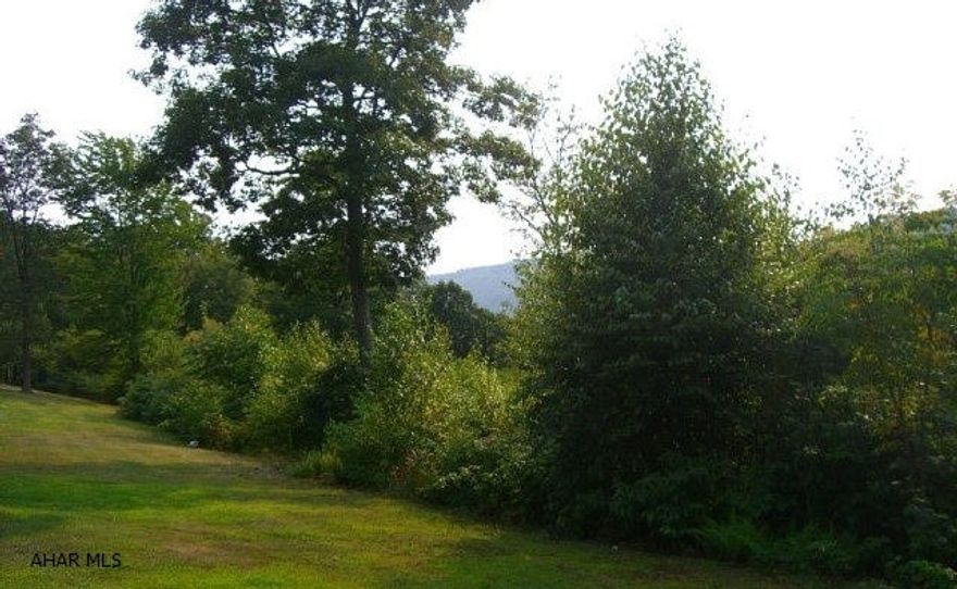 5 acres with 3 sides bordering the State Game Lands. Incredible view of beautiful Black Valley. Well and septic. Year round home or hunting camp! Unique property with State Game Lands surrounding it.