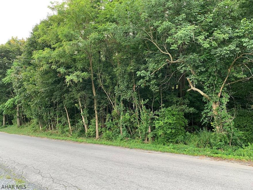 Double adjacent lots (1.24 acres total)  Very nice building site.  Perfect for that dream home you've been envisioning.     Public water tap is on site (seller has paid for tap to the corner of property -- buyer will need to pay to have it taken to the structure they build).  Public sewer on site.   Quiet residential street.  Property has trees and vegetation  still there so you, the buyer get to decide which ones stay and which you would like cut down.     Property currently has 2 deeds but being sold together as a double lot.    Close to restaurants , shops, Everett Area Schools.  Near Route 30 .      Nice mixture of steep and flatter ground.