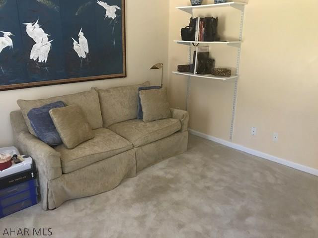 Lower Brush Mountain Road - Residential