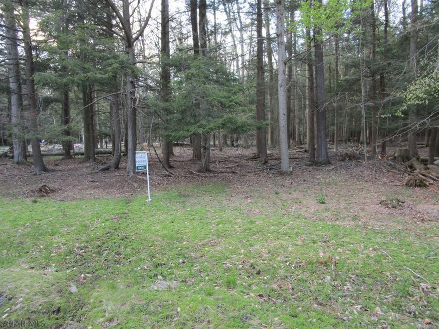 Private, flat, wooded lot in a gated community with recreational amenities.  Adjacent to Prince Gallitzin State Park / Glendale Lake.