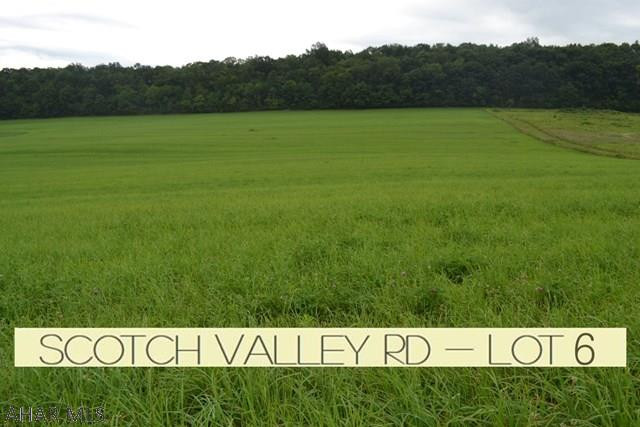 Scotch Valley - Land