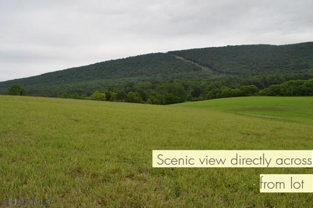 Scotch Valley - Land