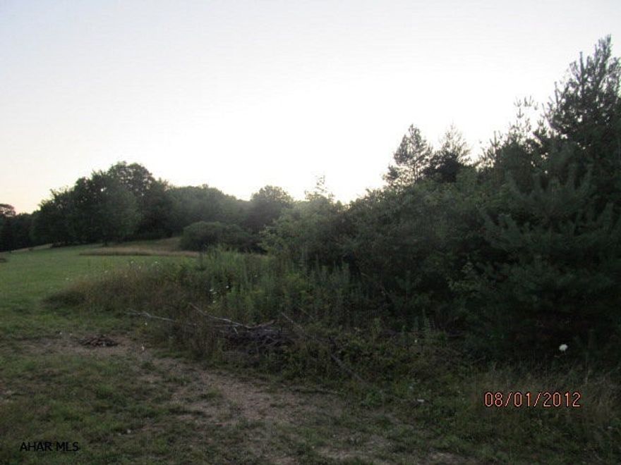 Check this out! 43 acres of trees and fields that give you a relaxing country feel.  Yet..... you are only 5 mins to town and 7 minutes to I99.  It fronts on Grandview Rd. Antis Township.   Beautiful area to build your dream home!!!  Think of all the possibilities with that much land near town.  You can make it a neighboring family deal with a little subdivision!  Some utilities are already available, call me for more details.Owner may consider subdividing into less acreage if circumstances are right.