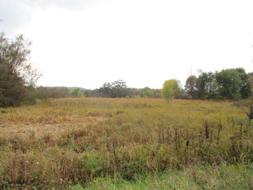 5.40 acres in Bedford Township along business Route 220. Wetlands on property- doesn't appear buildable.