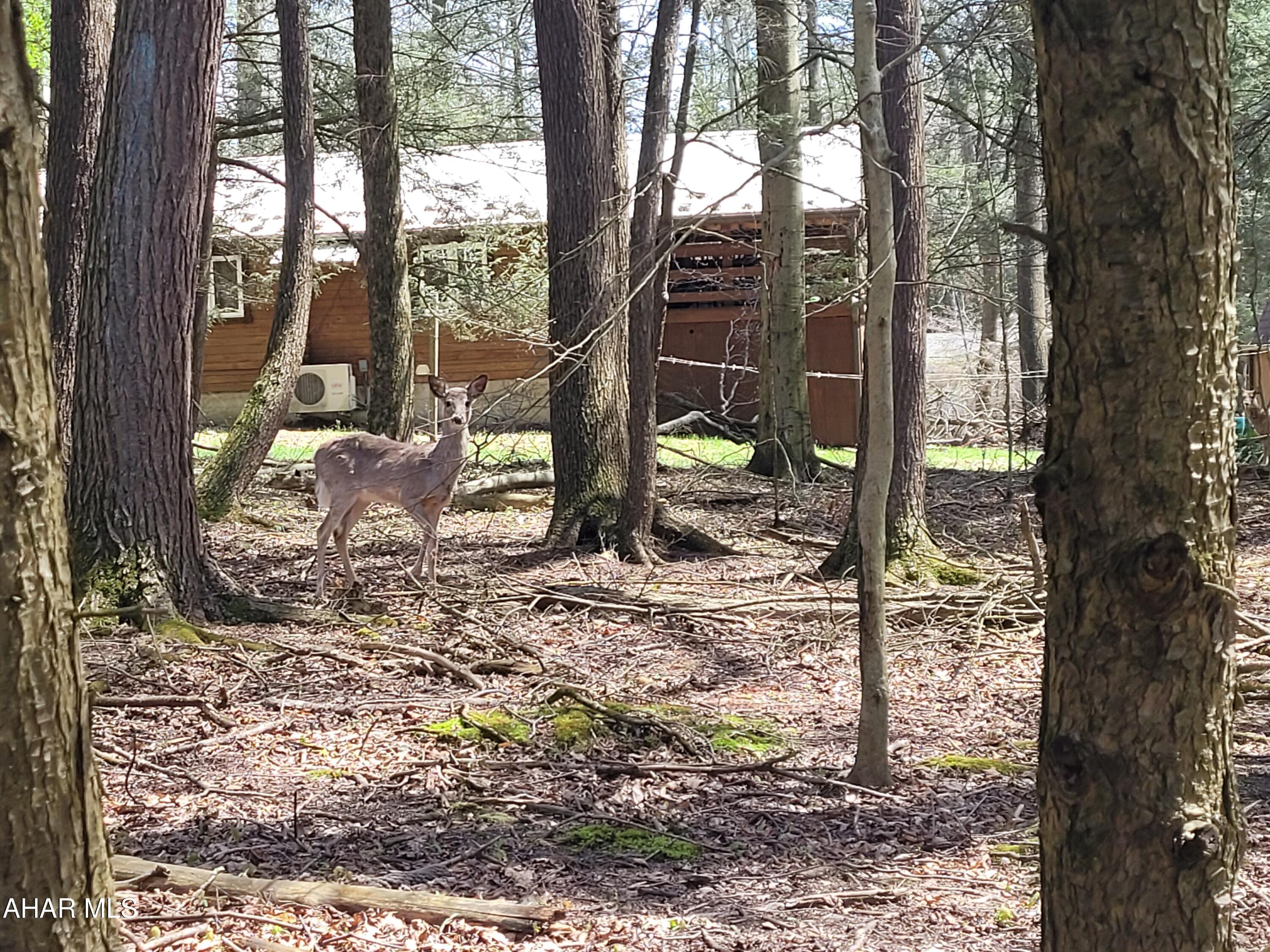 Glendale Yearound - Residential