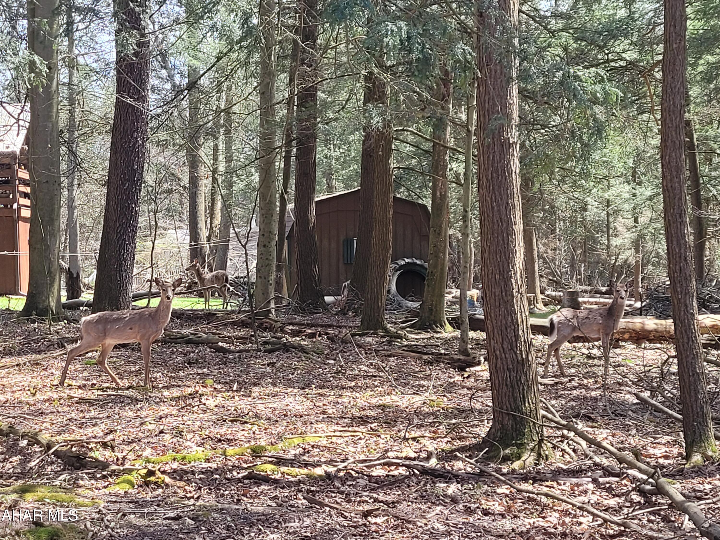 Glendale Yearound - Residential