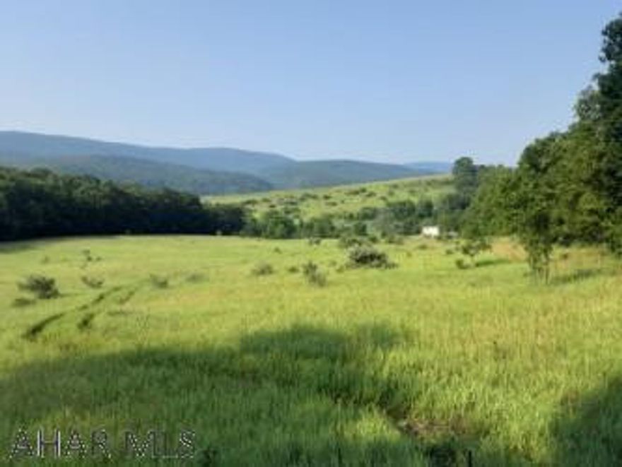 Private location!!!  Great building lot on this gently sloping grassy field.  Or pull your camper in for some well earned quiet time.  Property has road frontage  and is bordered by mature trees.  Lovely views.  Fall foliage will be spectacular!!!!