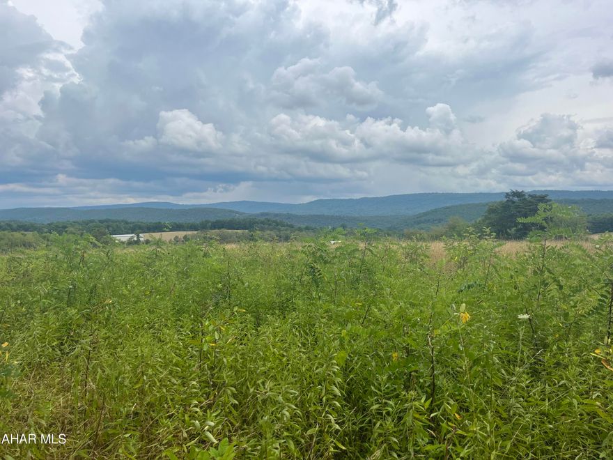 LOOKING FOR A HUNTERS PARADISE ON 45 ACRES OF WOODED GROUND WITH LOTS OF ACORNS AND BORDERS CORN FIELDS. ALSO BORDERS STATE FORREST LANDS . ALSO A WONDERFUL VIEW ACROSS THE ROAD FROM 45 ACRES AND WOULD BE PERFECT TO BUILD YOUR DREAM HOME. ELECTRIC ACROSS ROAD. THIS IS A EXCEPTIONAL 45 ACRES WITH MANY USES.