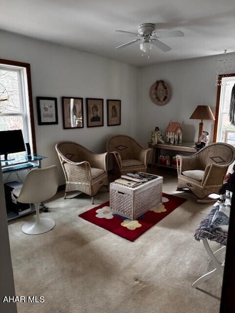 Juniata Mills - Residential