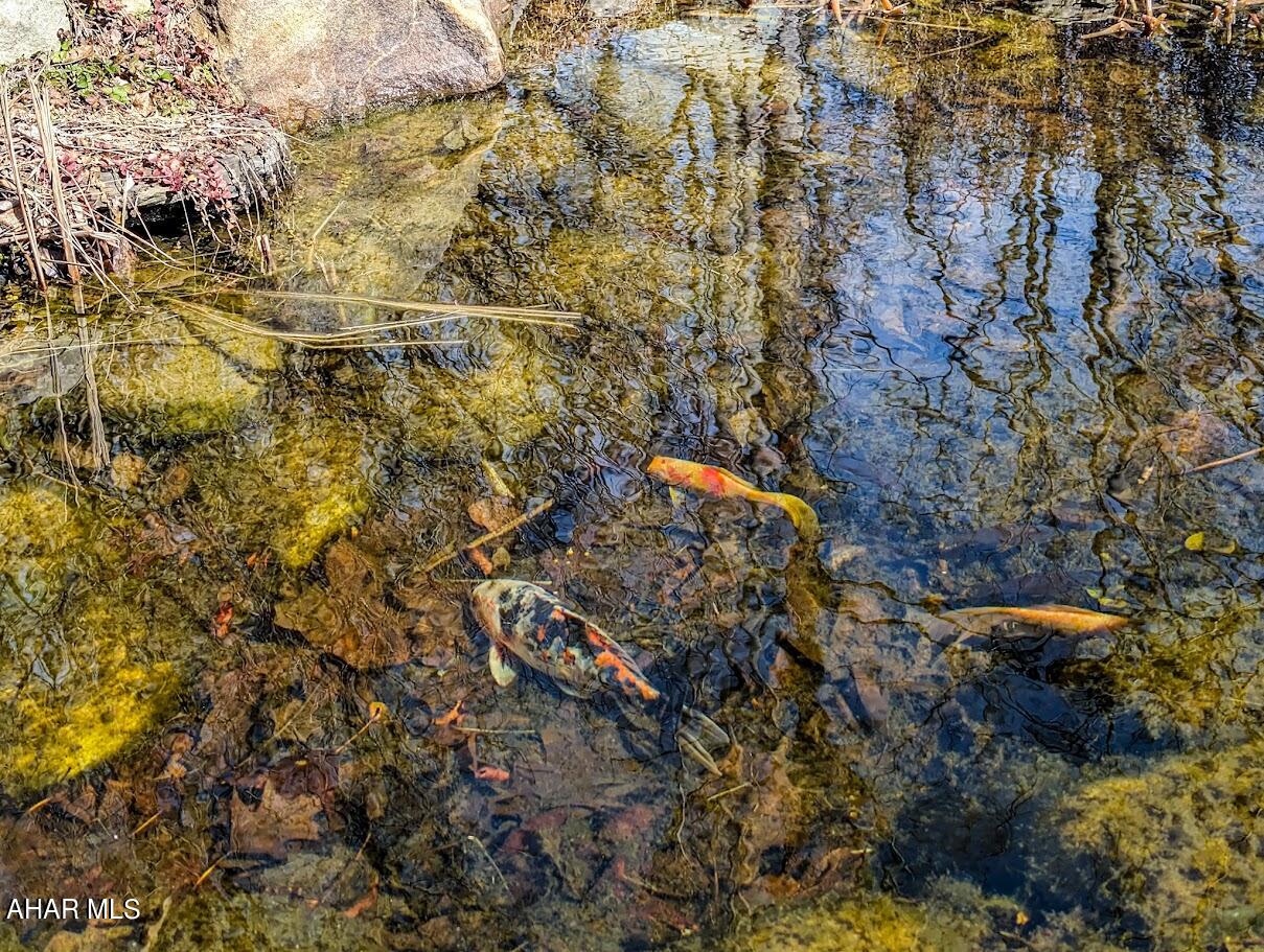 Juniata Mills - Residential