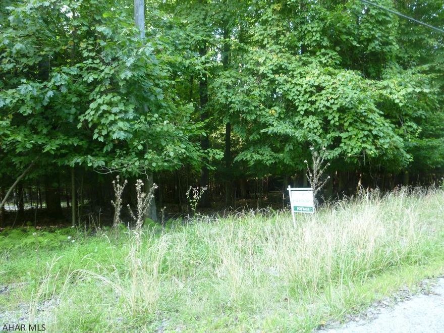 Wooded home site near Prince Gallitzin State Park / Glendale Lake and Gamelands. Glendale Yearound development amenities but located outside of the gate. Community pool, tennis / basketball / volleyball courts, dog park, playgrounds, club house. City water and sewer.