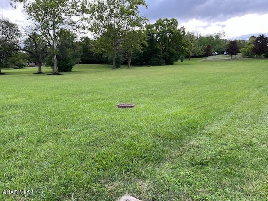 Great building lot for office or other commercial use.