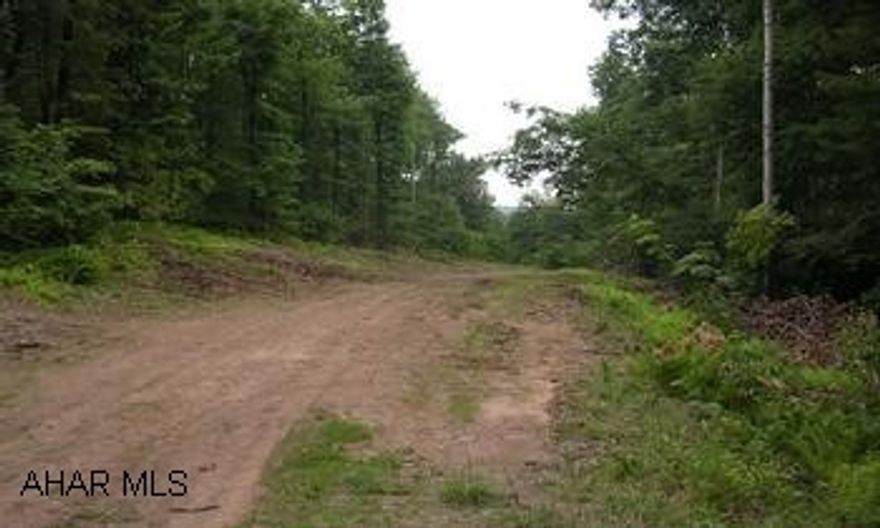 9.573 Acres with Declairation of Covenents, Perc Test Approved Great Building Lot for Single Family Home. Private Dwelling. Call TED MANNA for more information: 814-207-7018