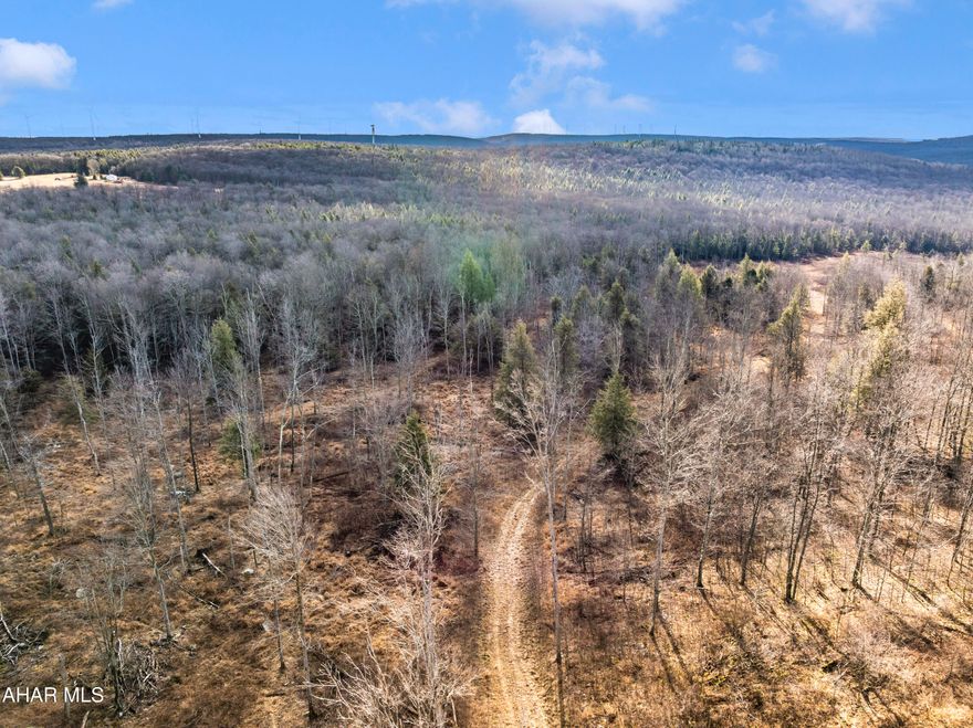 Private land opportunity for YOU!!  This 13.772-acre parcel is ideal for constructing your dream home, establishing a weekend getaway, or utilizing as a versatile recreational property. The potential is limitless—truly a must-see!!