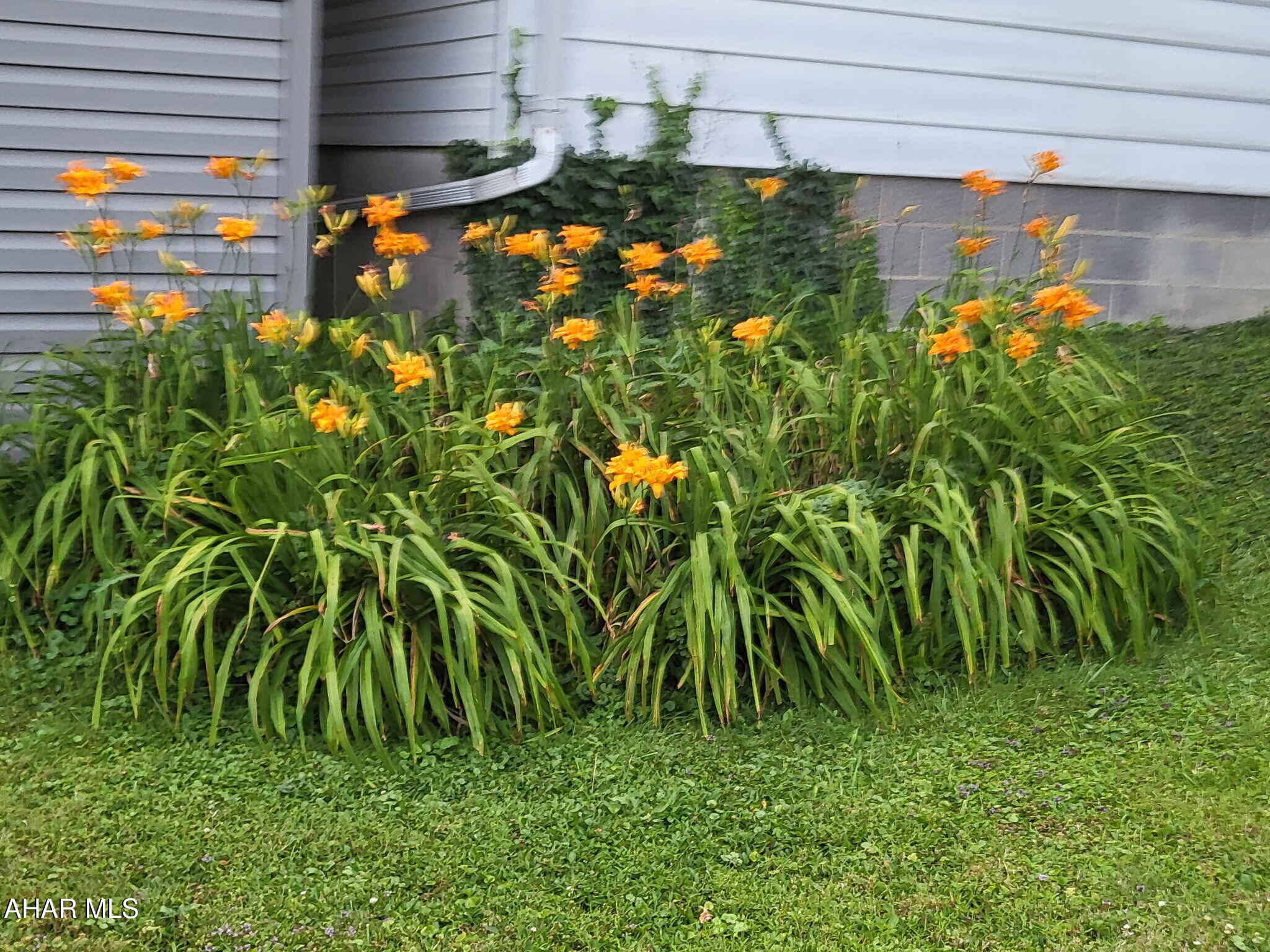 Fairview - Residential