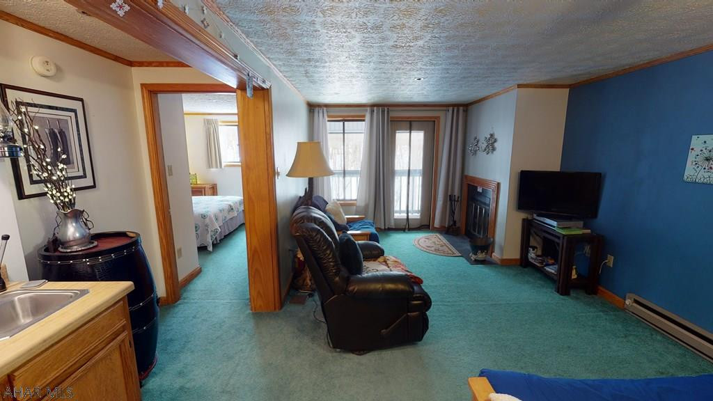 Blue Knob - Residential