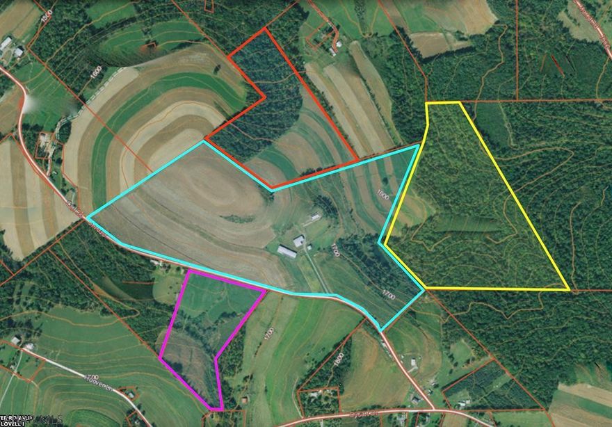 Approx 63.4 acres of mostly wooded land.  Perfect for recreation or building your dream home.  There is an existing easement over neighboring property.  Approx lot lines are highlighted in YELLOW on plot image under pictures.