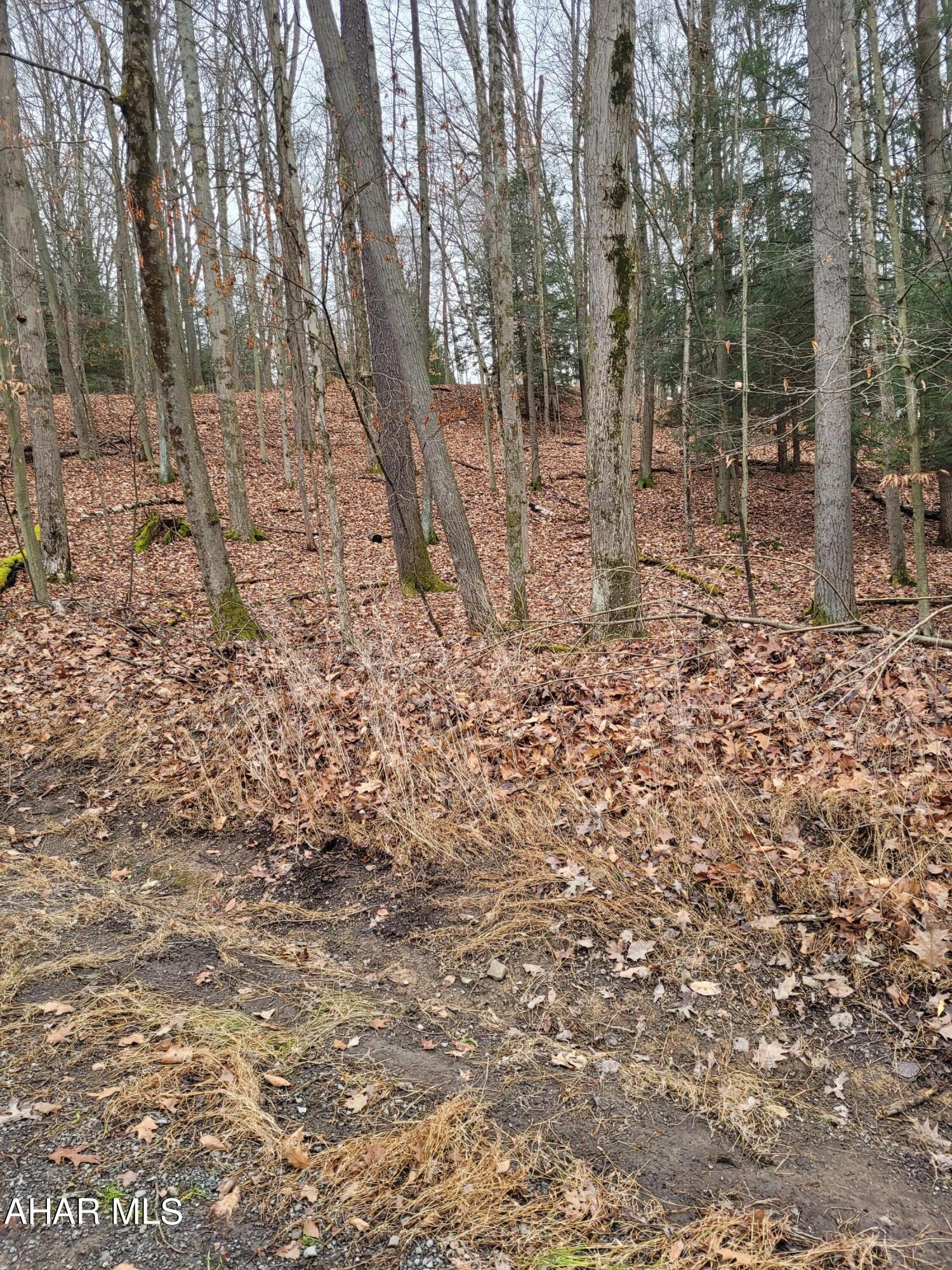 Glendale Yearound - Land