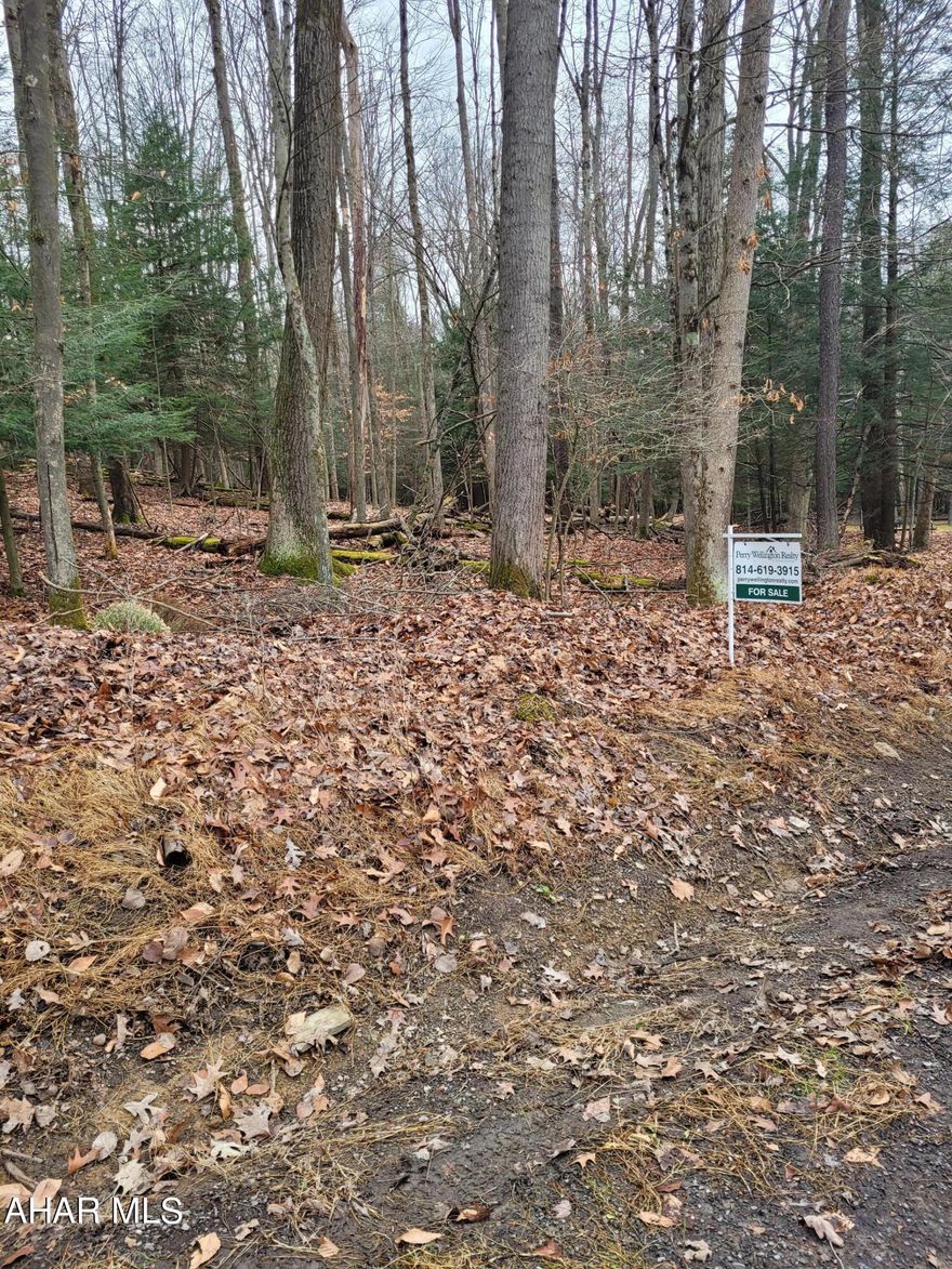 Private wooded home site perfect for building your getaway cabin or full time home in the woods.  Public water and sewer and electricity are available.  Located in Glendale Yearound, a gated community adjacent to Prince Gallitzin State Park / Glendale Lake.