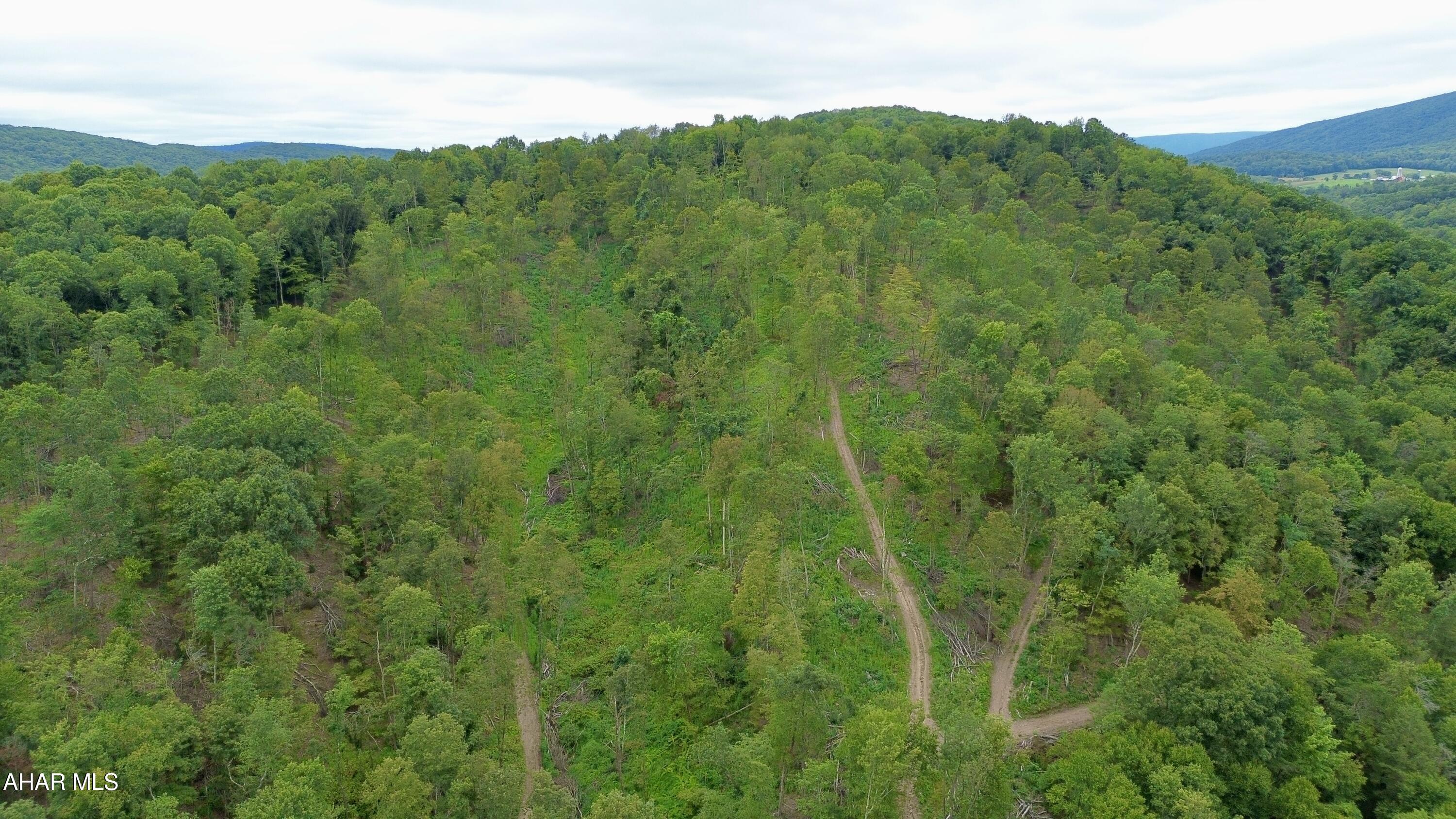 None - Commercial Sale