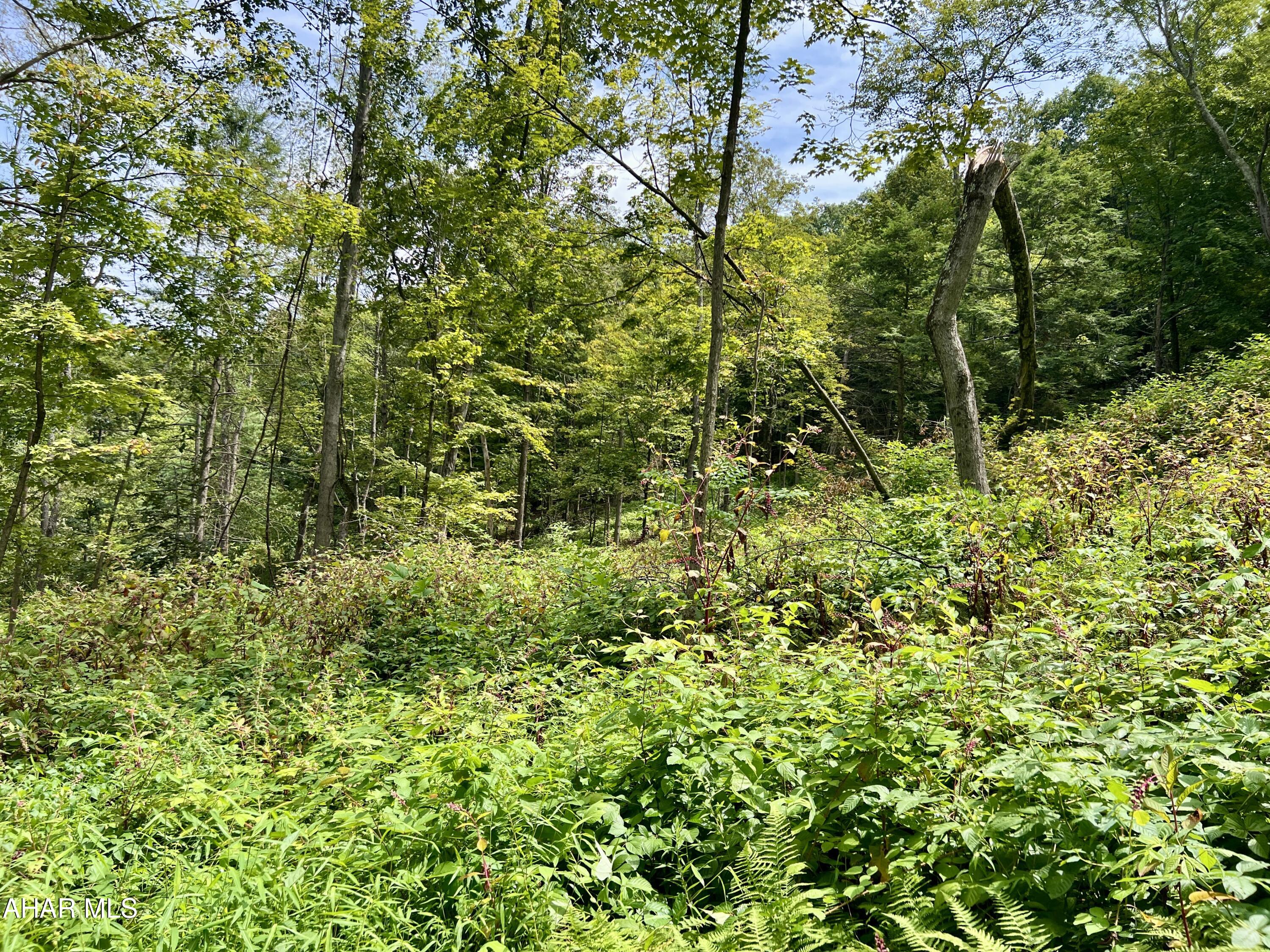 None - Commercial Sale