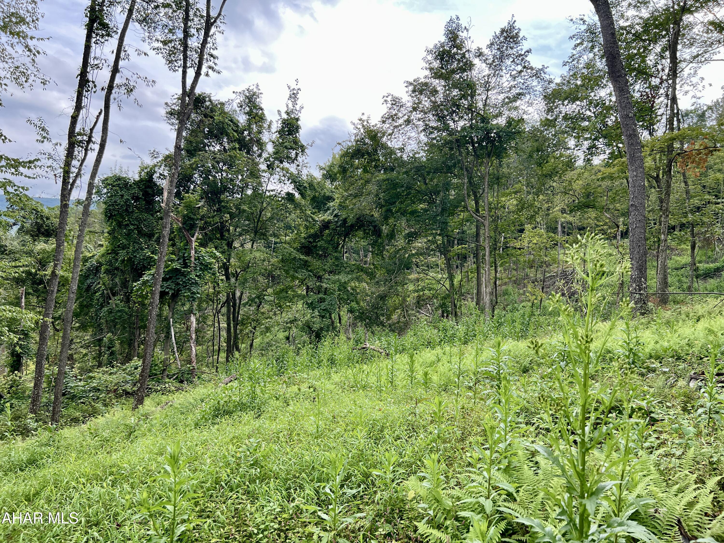 None - Commercial Sale