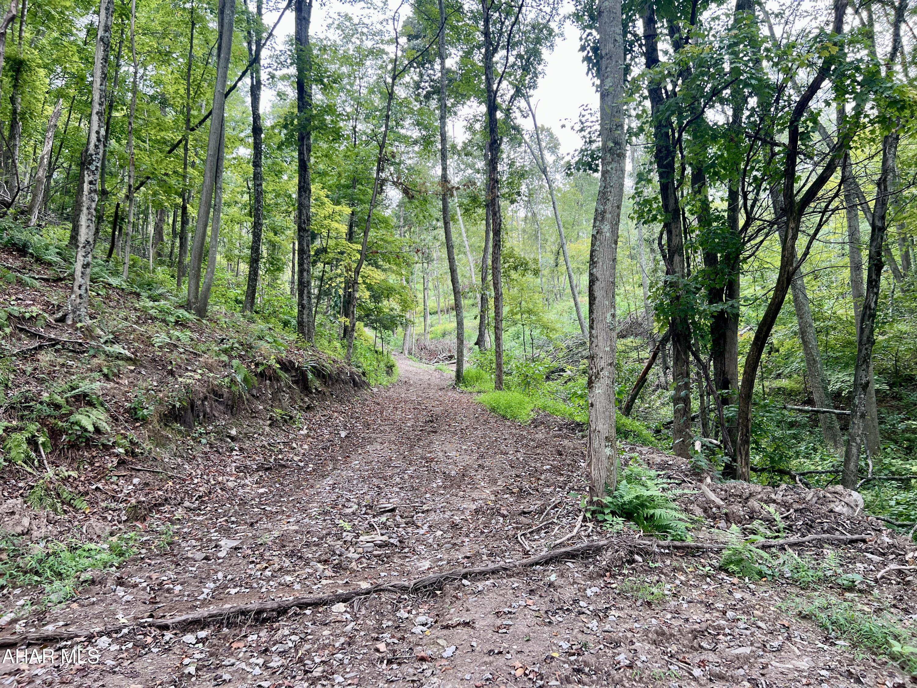 None - Commercial Sale