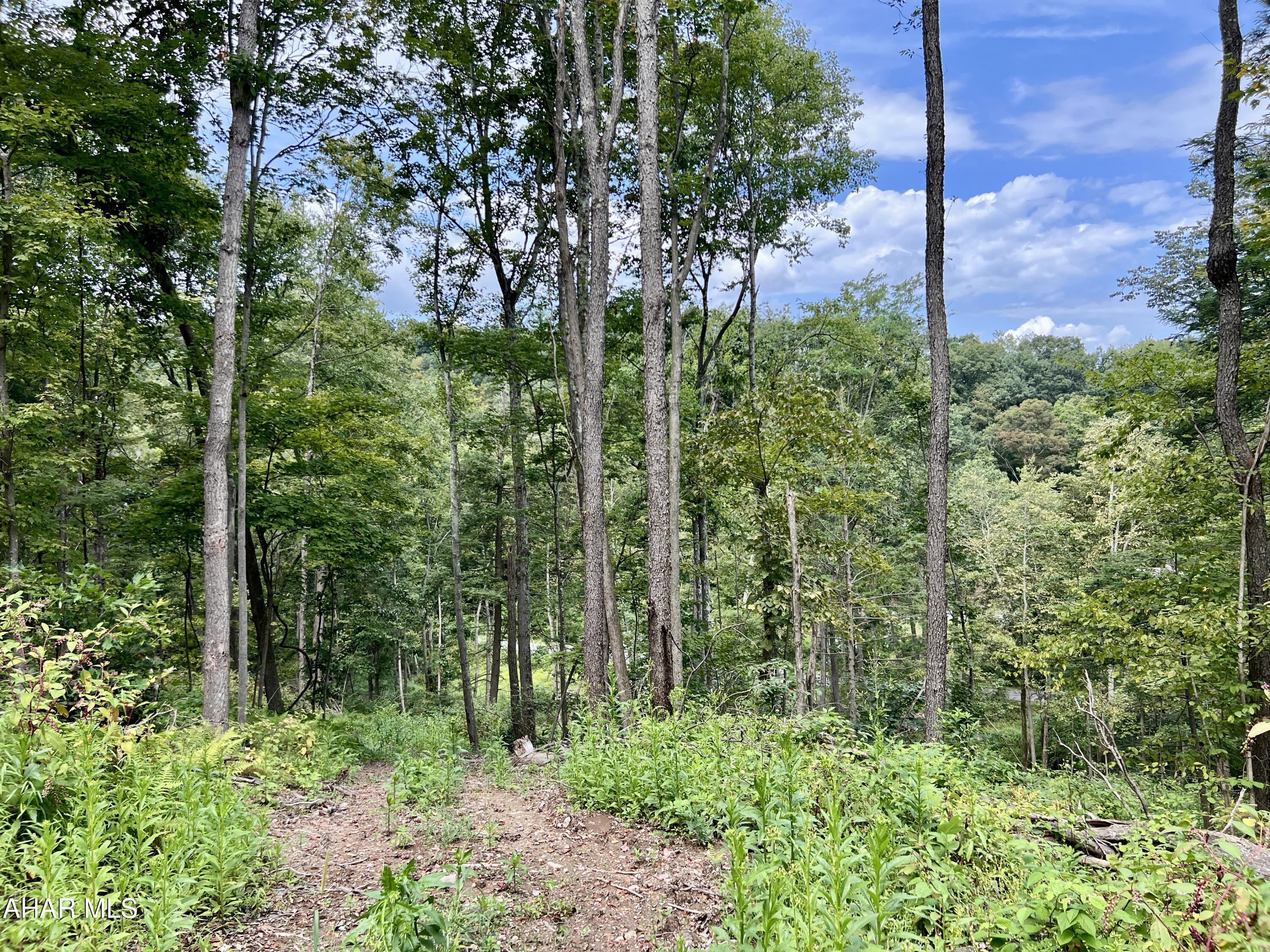 None - Commercial Sale