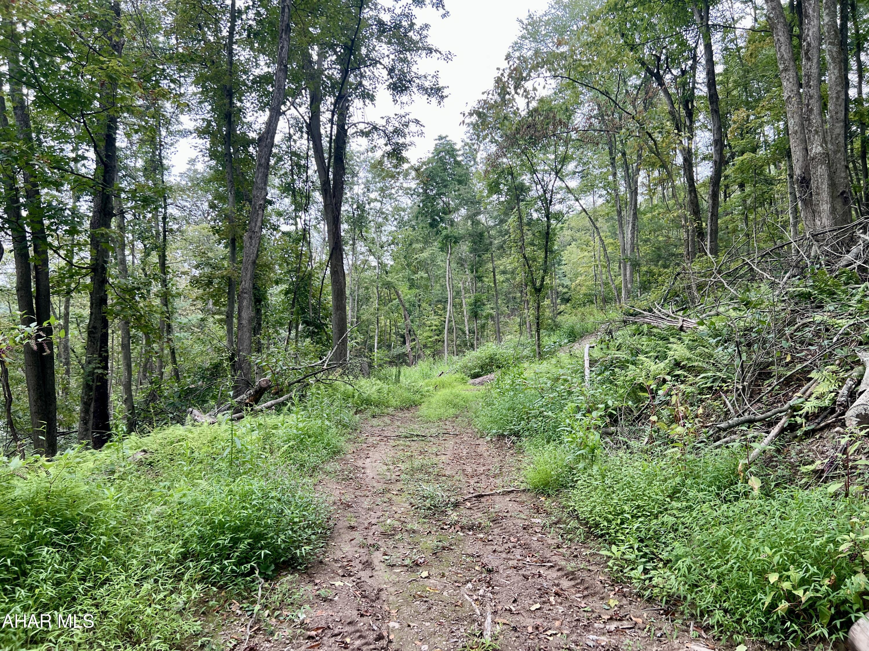 None - Commercial Sale